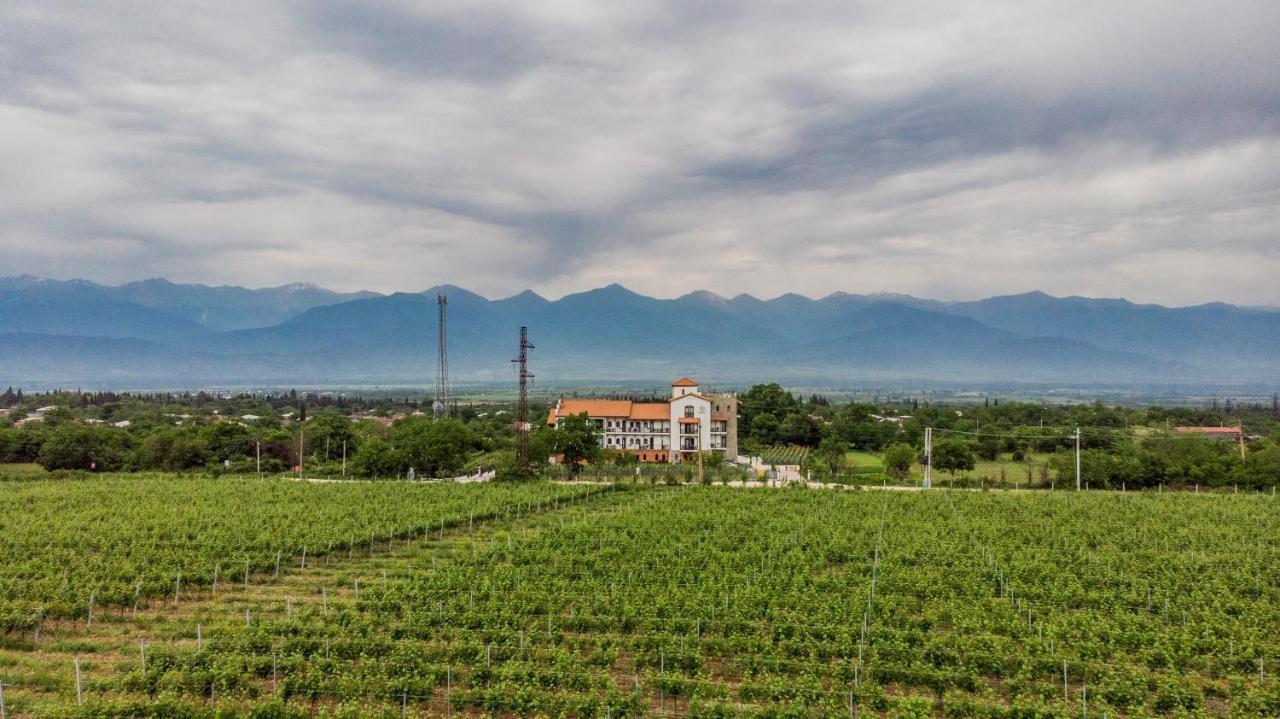 Tsinandali Resort & Spa Екстер'єр фото
